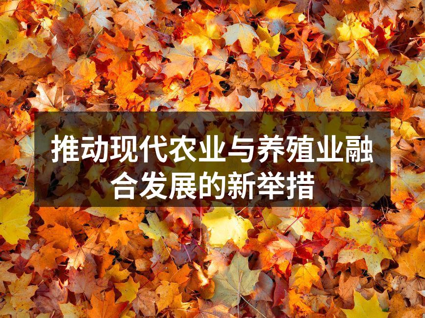 推动现代农业与养殖业融合发展的新举措